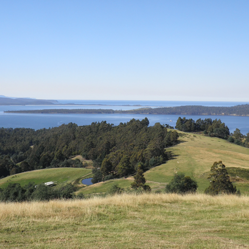 Greeting Card - Cackleberry Farm - the home of Range Tasmania