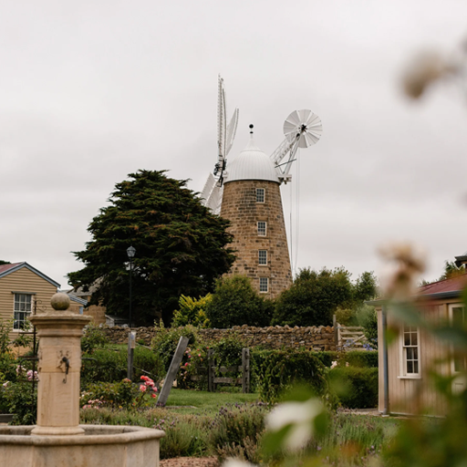 Greeting Card - Oatlands Historic Callington Mill (Landscape)