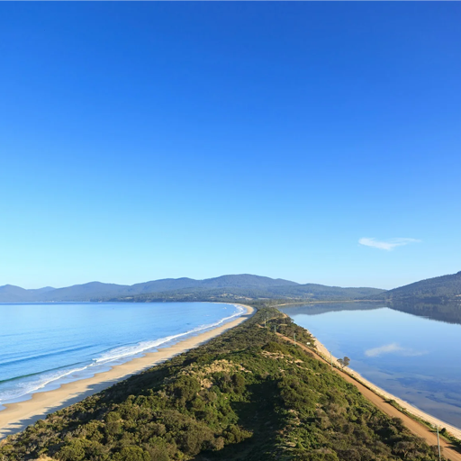 Greeting Card - Bruny Island Neck