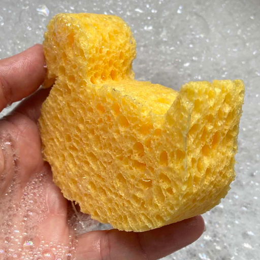 Cellulose Duck Sponge