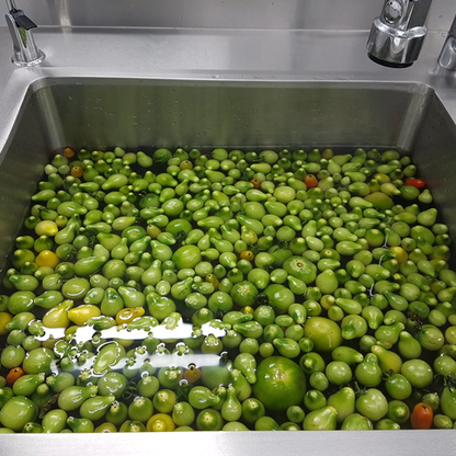 green tomato + Tasmanian pepperberry pickle